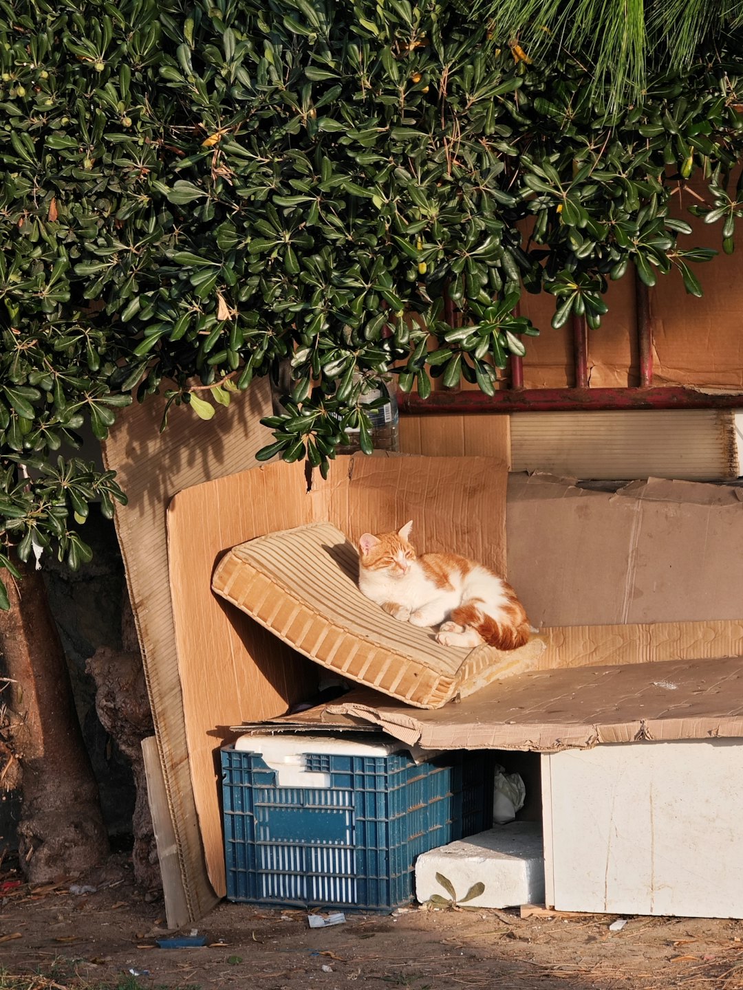 An orange and white cat naps on a striped cushion.